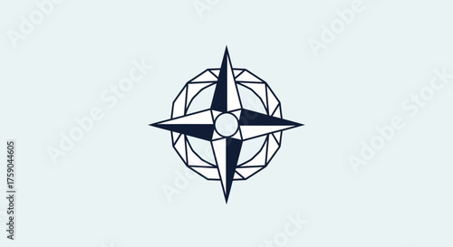 Star compass within an octagon on a light background
