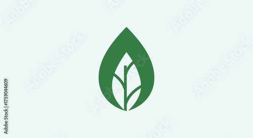 Green leaf with central stem