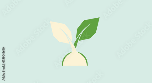 Stylized plant with beige bulb and green/ivory leaves on light blue