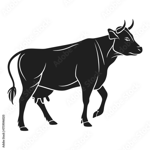 Silhouette of a black cow walking with horns and udder