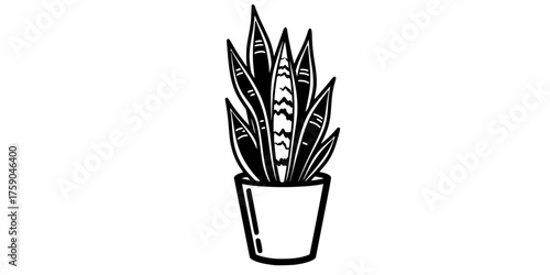 Architectural Snake Plant Vector - Bold line, high contrast flat black and white illustration of a Sansevieria houseplant for modern interior and clean design
