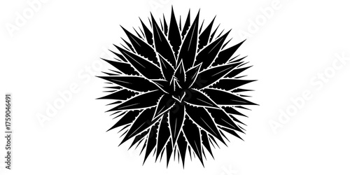 Agave Plant Architectural Vector - Bold line, graphic black and white illustration of a Century Plant for desert, organic, and architectural logo design