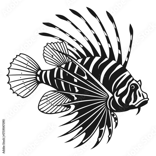 Striking black and white illustration of a lionfish