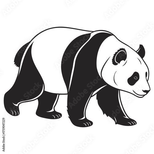Stylized black and white panda walking illustration