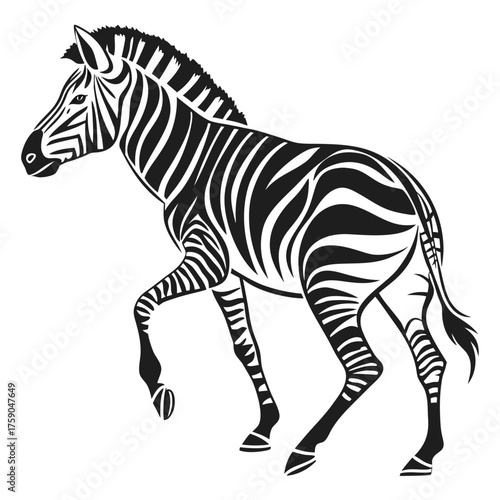 Stylized black and white zebra illustration