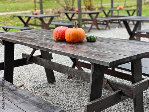 pumpkin on a table in the open-air caffe in autumn 