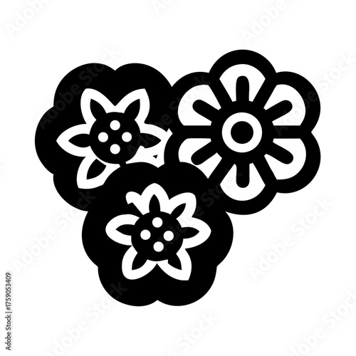 Illustration of a cluster of elderflowers, a delicate and fragrant blossom