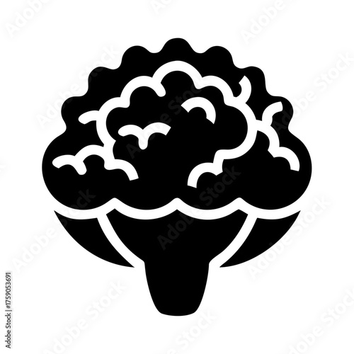 Illustration of a cauliflower, a nutritious and versatile vegetable