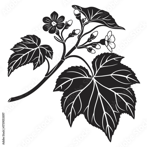 Elegant black and white silhouette of a flowering plant with detailed leaves and buds