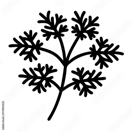 Vector art of elegant dill sprig, adding a touch of freshness and natural beauty to designs