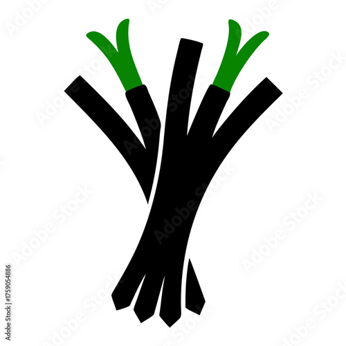 Illustration of a bunch of chives, a versatile culinary herb with a mild onion flavor