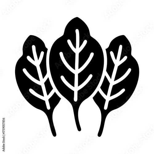 Vector art of fresh spinach leaves, a nutritious and versatile leafy green vegetable