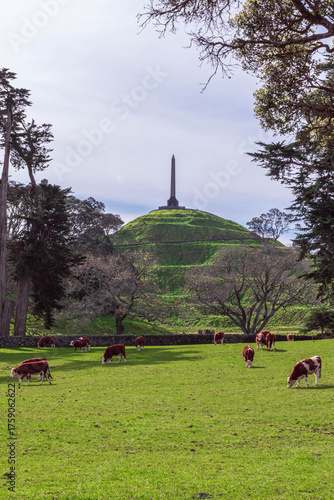 Idyllic park environment showcasing a path with a prominent monument visible in the distance