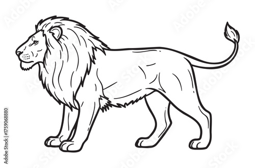 Black outline drawing of a regal lion in profile, showcasing its mane, tail, and muscular build, suitable for wildlife and adventure themes.