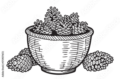 Detailed black and white sketch of a woven bowl filled with pine cones, accompanied by two additional pine cones resting beside it.