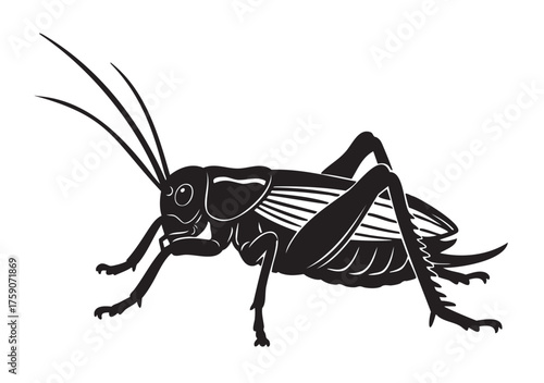 Black silhouette of a cricket with detailed legs and antennas, showcasing distinct body segments and intricate features.