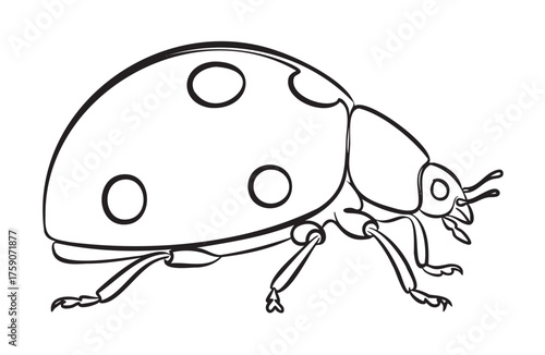 Black outline drawing of a ladybug with distinct spots and antennae, showcasing its profile view in a simplistic design.