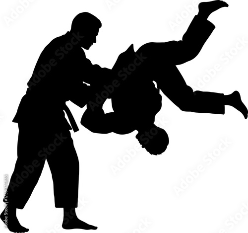 Dynamic silhouette of martial artists in action, perfect for illustrating discipline, strength, and the spirit of competition in sports & wellness projects.