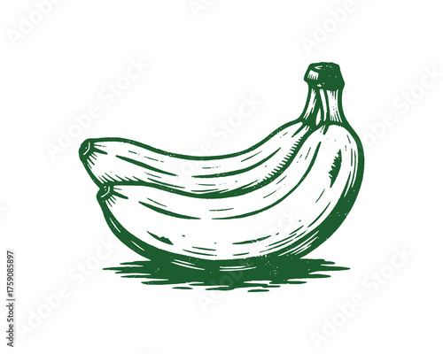 Green Bananas Hand-Drawn Engraving Woodcut Style