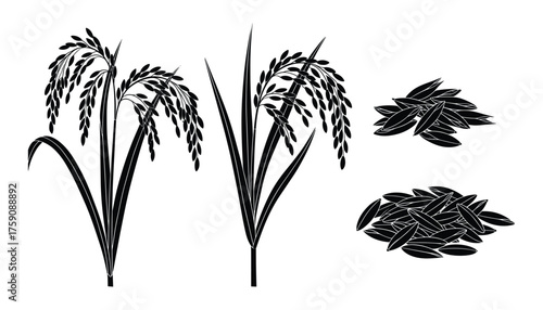 Rice Plants and Grains Set Cereal Crop Food Agriculture Elements