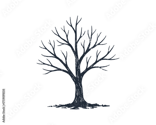 Winter bare tree branches nature plant engraving design element