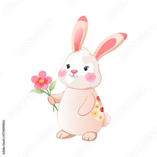  bunny 