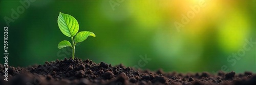 Thriving Plant Business Growth and Adaptation,  A Stylized Graphic Illustrating Evolutionary Success in a Corporate Setting