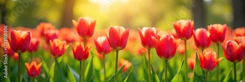 Sunlit Spring Meadow with Vibrant Tulips A profusion of colors and textures bathed in warm sunlight, perfect for Easter, spring themes, and nature imagery.