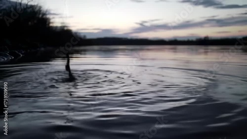 Ripples expand across water surface, with dark, blurred vertical element from top. Soft dusk colors