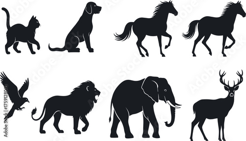 Animal silhouette, wildlife vector, domestic and wild animals, cat, dog, horse, lion, elephant, deer, eagle, nature illustration