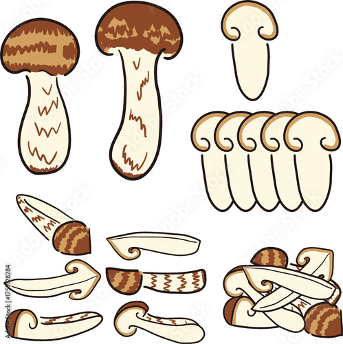 手描き風松茸イラスト