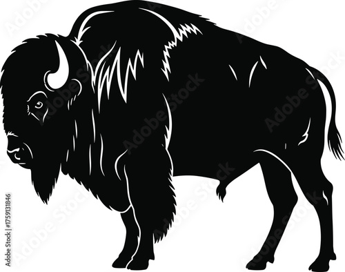 Majestic bison standing strong, wild animal silhouette, powerful beast, nature symbol, buffalo illustration, wildlife, rugged creature, prairie icon, natural strength, wildlife art
