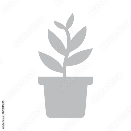 Plant in a Pot Icon