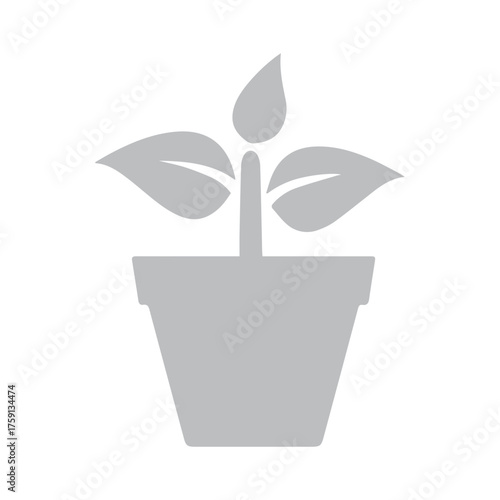 Foto Potted Plant Growth Icon