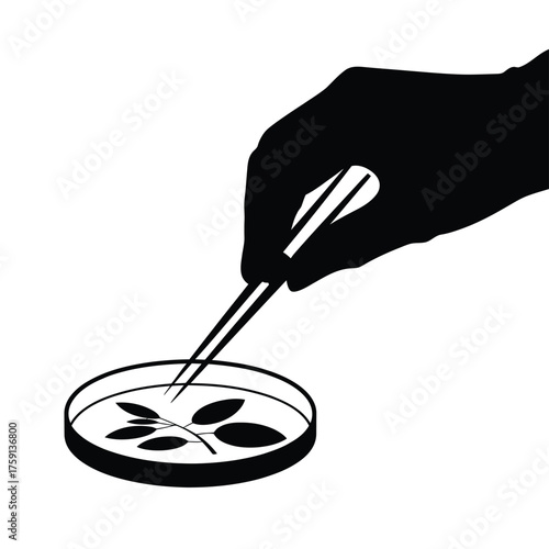 Scientist s gloved hand uses tweezers to examine plant leaves in petri dish