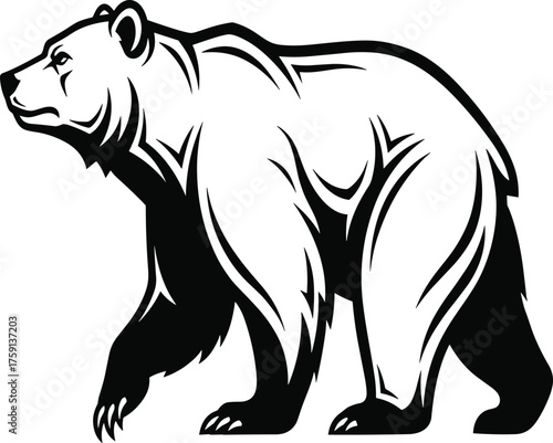 Standing bear vector illustration, wild animal design, nature wildlife logo, grizzly bear graphic, strong animal mascot, bold outdoor symbol
