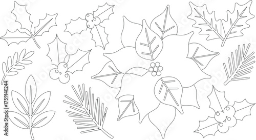 Christmas Holiday Outlines Poinsettia, Holly Berries, and Various Evergreen Branches for Festive Coloring Pages