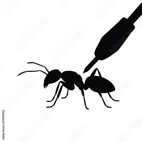 Silhouette of an ant being poked by a black object