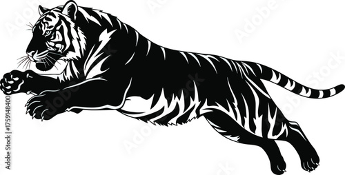 Leaping tiger illustration black and white isolated on white background wildlife and conservation projects