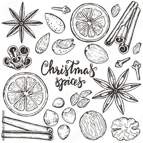 set of different spices