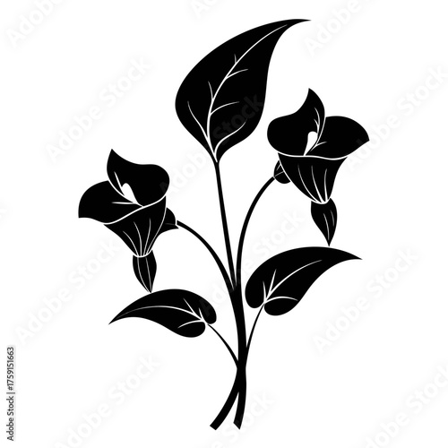  jack in the pulpit  silhouette  on white 