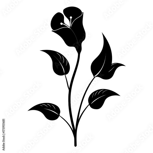 jack in the pulpit silhouette