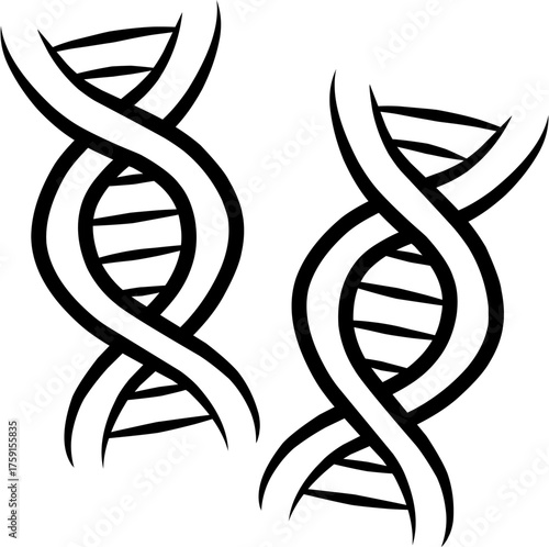 Two stylized black and white illustrations of DNA double helix structures, representing genetics.