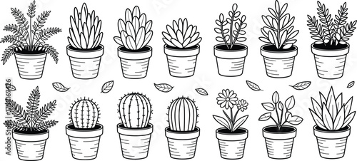 Black and white line art illustration of potted plants and flowers, minimalist botanical vector collection for decor and design