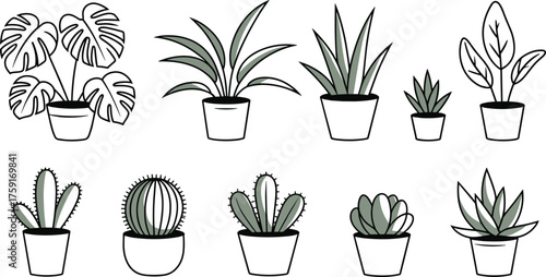 Houseplant line art collection, black and white potted plants and cactus drawings, minimalist botanical illustration, modern home decor design