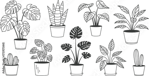 Set of black and white potted houseplants, hand drawn line art of indoor plants, cactus, and monstera leaves illustration