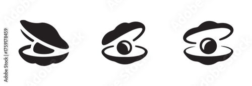Seashells pearls icons, some open pearl, open seashell graphic design, oyster shell graphic symbol vector illustration EPS 10.