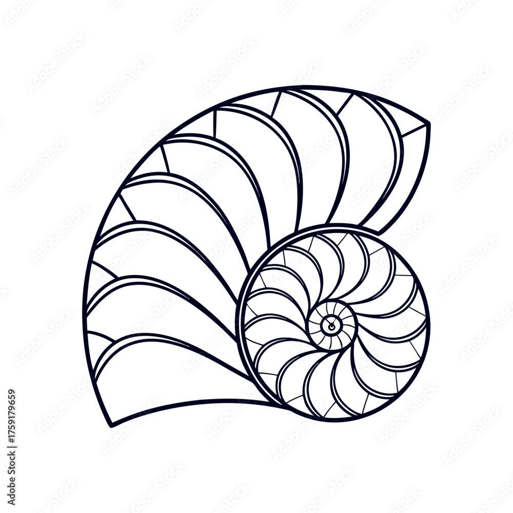 Obraz premium Geometric Nautilus Shell Outline Vector Illustration