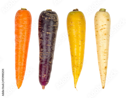 Isolated Colorful Carrots Collection Studio Still Life Orange, Purple, Yellow, White