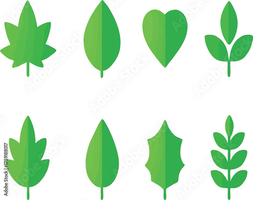Cartoon Leaf Vector Illustration Cute Green Leaf Isolated on White Background
